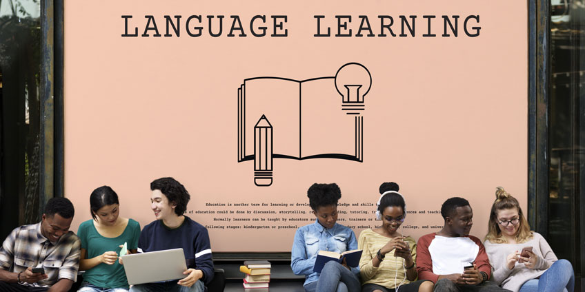 All You Need to Know About Learning a New Language